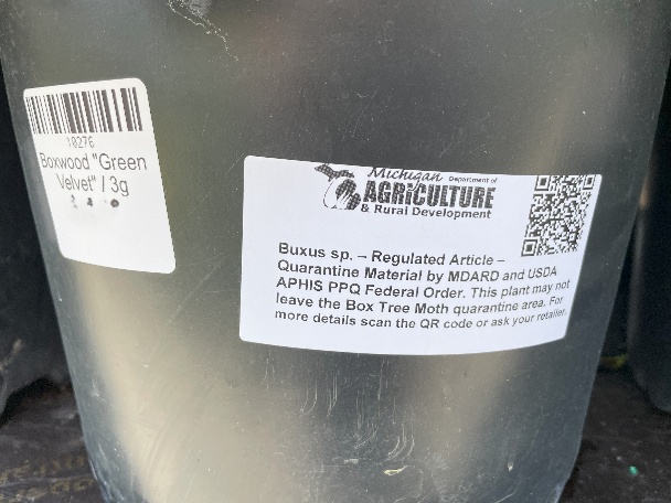 A black nursery pot with two labels. One small white label reads “Boxwood ‘Green Velvet’ 3g.” A larger label from the Michigan Department of Agriculture & Rural Development warns that Buxus (boxwood) is a regulated article under quarantine for the Box Tree Moth and cannot leave the quarantine area.